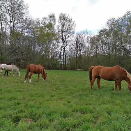 Gite En Creuse Moutier-Malcard 外观 照片